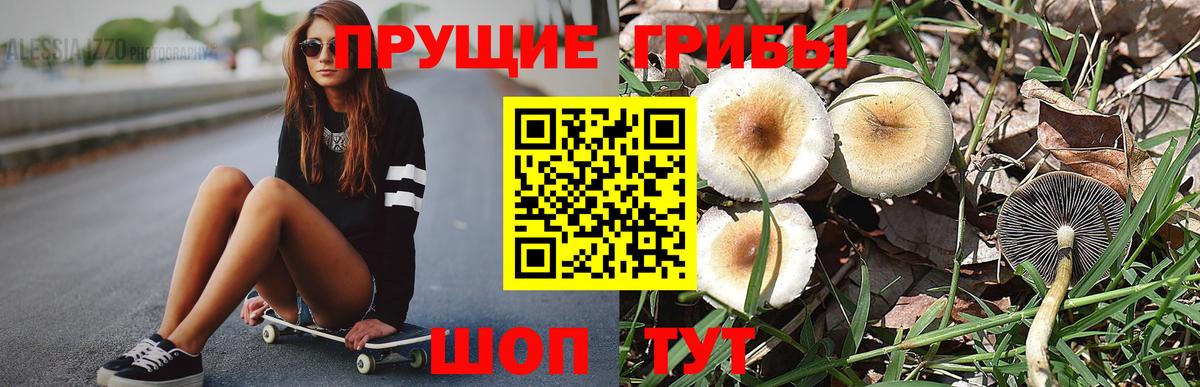 где найти наркотики  Псилоцибиновые грибы ЛСД  Вход с VPN  Ухта 