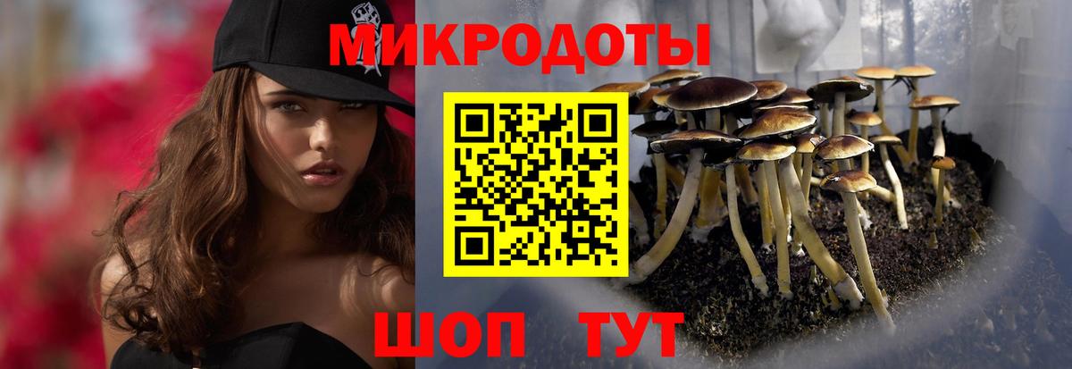 Галлюциногенные грибы Psilocybine cubensis Ухта